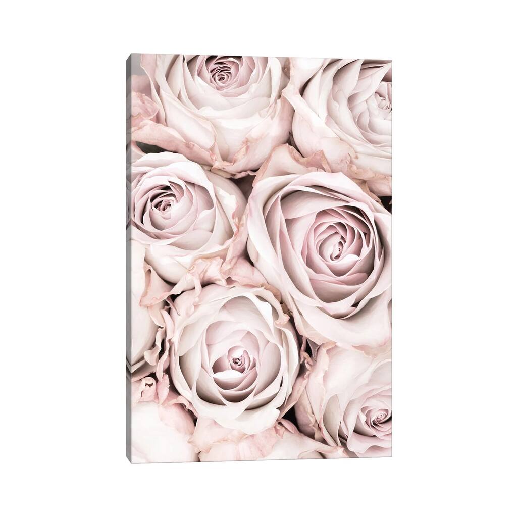 iCanvas "Pink Roses I" by 1X Studio Canvas Print