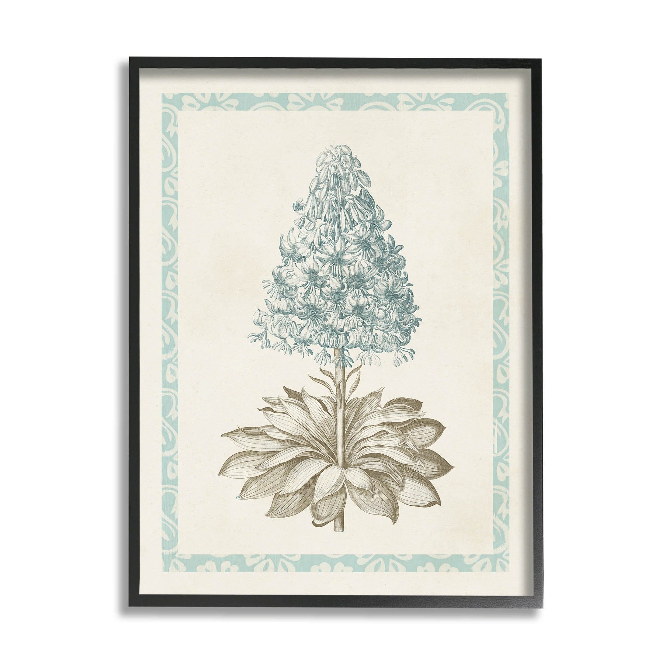 Stupell Vintage Plant Nature Study Framed Giclee Art, Design by Vision Studio