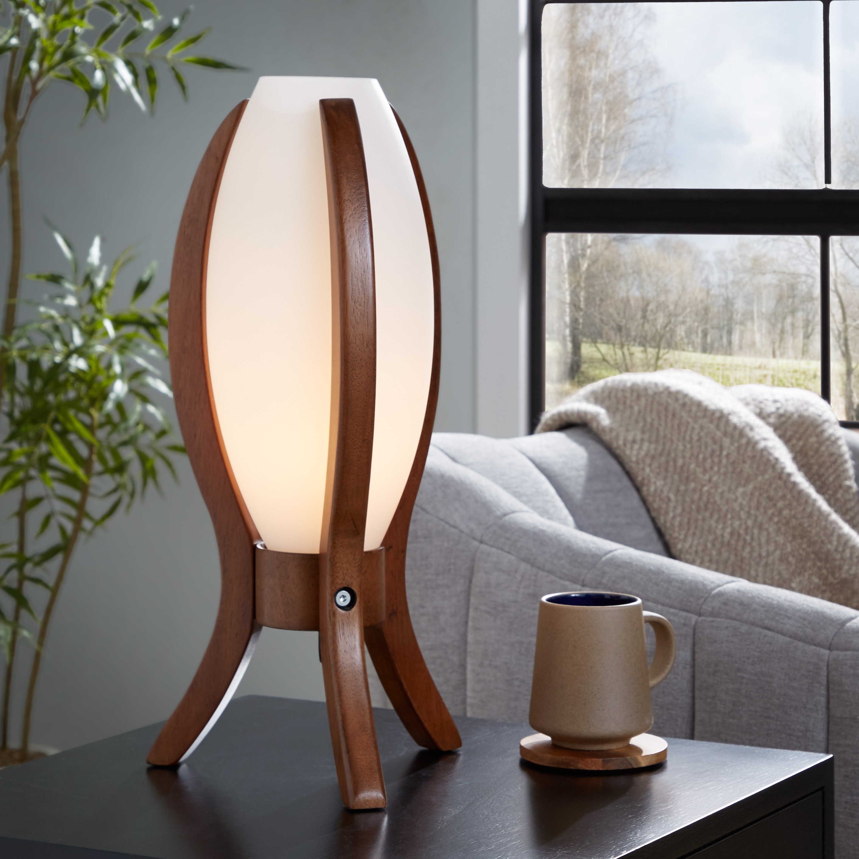 Case Contemporary Desk Lamp in Walnut Wood and Frosted Glass