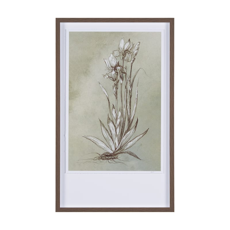 Botanical Sketch IV (green)