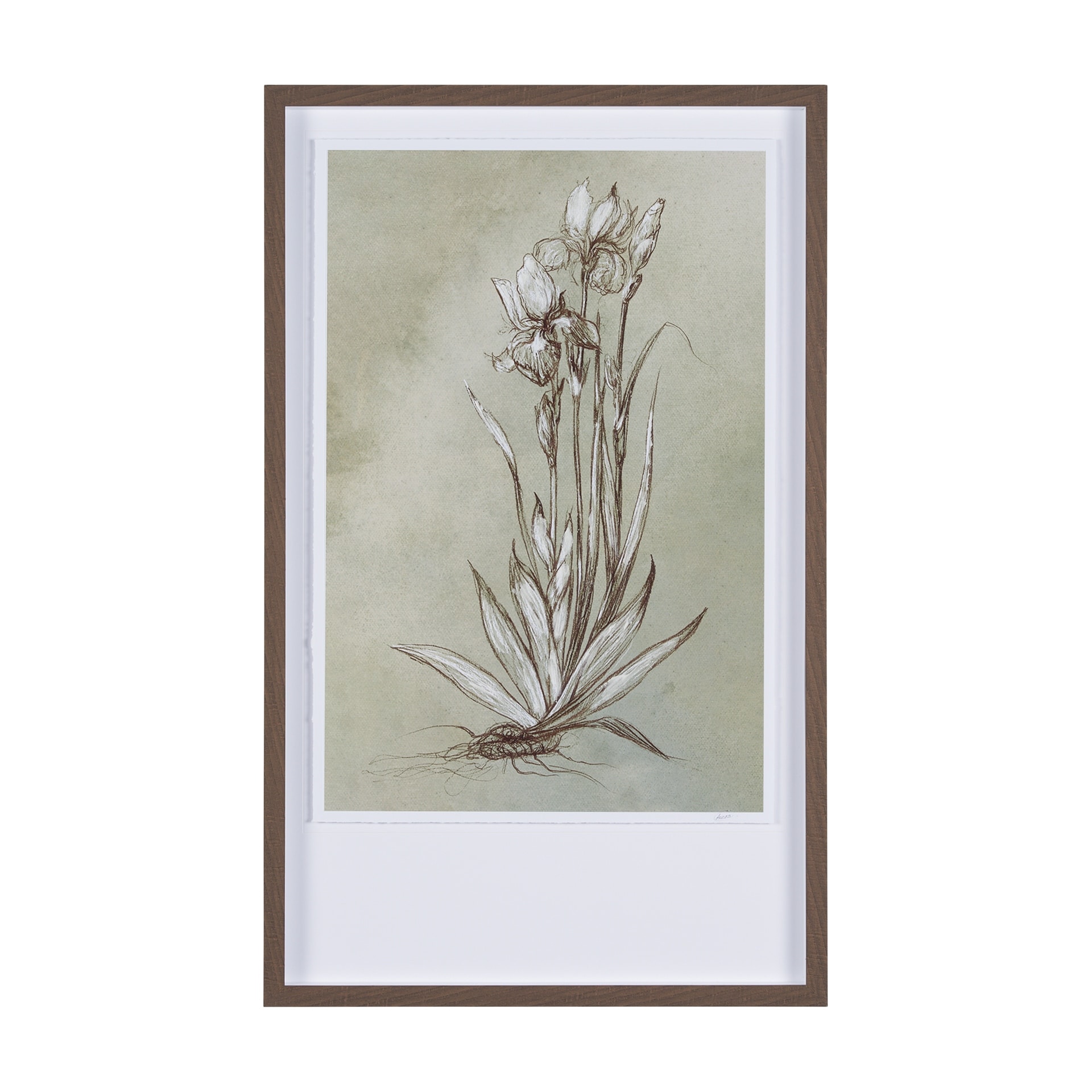 Mercana Botanical Sketch IV (green) by Mercana Studio Hand Embellished Framed Art Print Matted under Glass