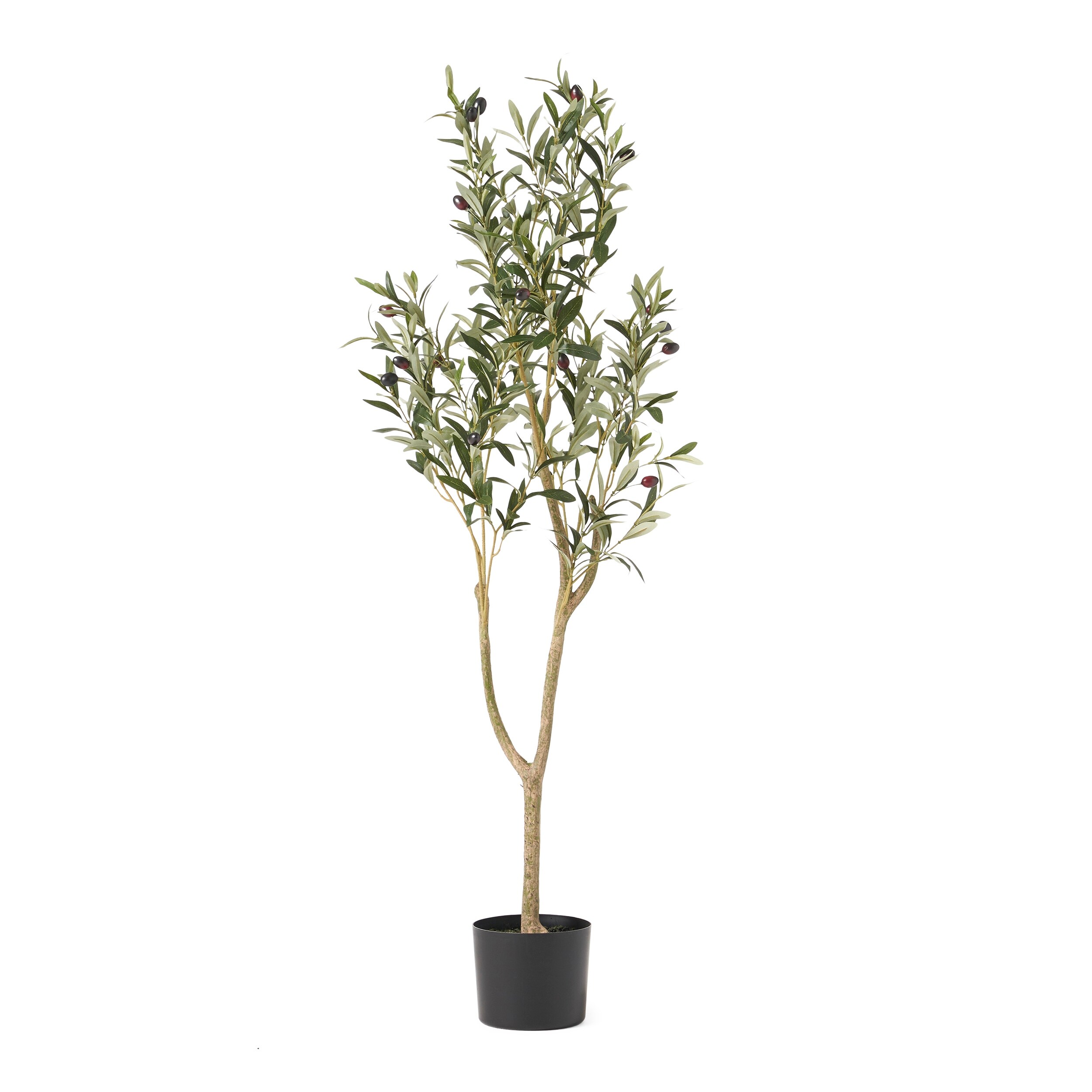 Artificial Olive Tree - Cowell's Garden Centre