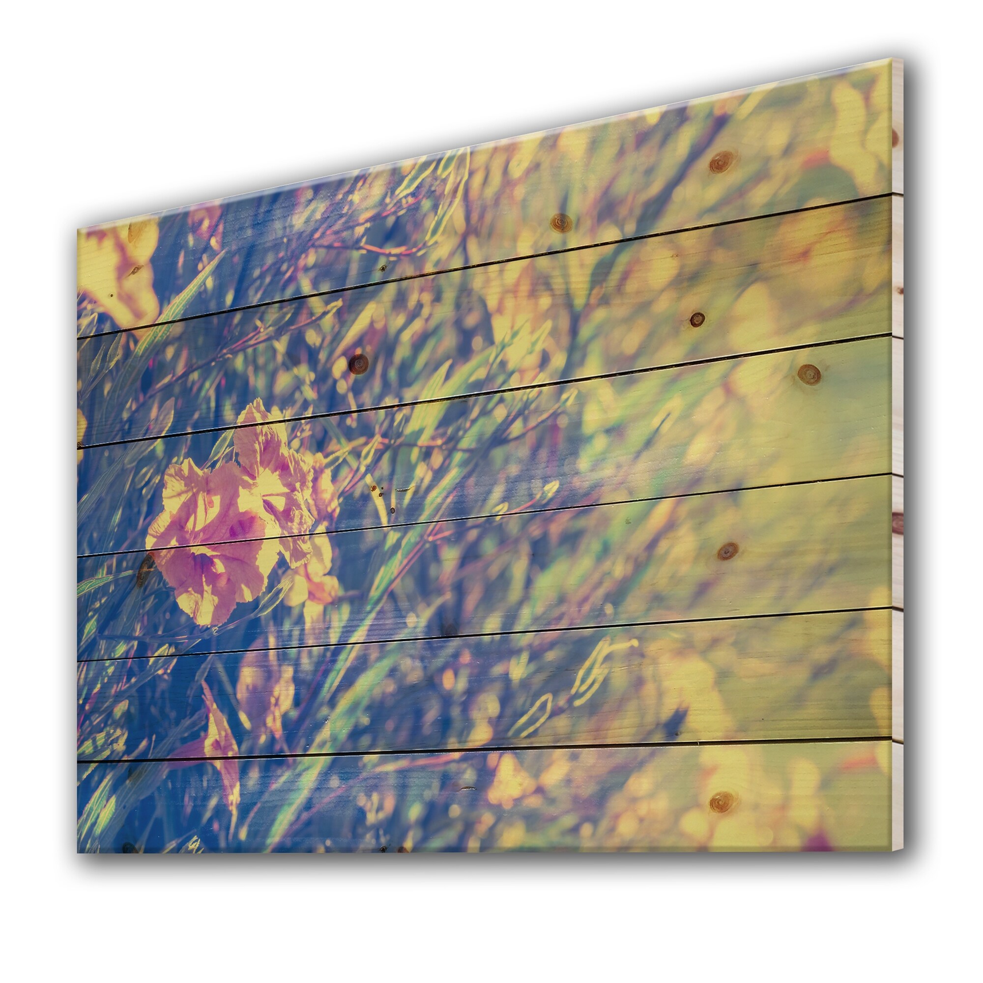 Designart 'Vintage Ruellias Flower In Sunlit Garden'-image
