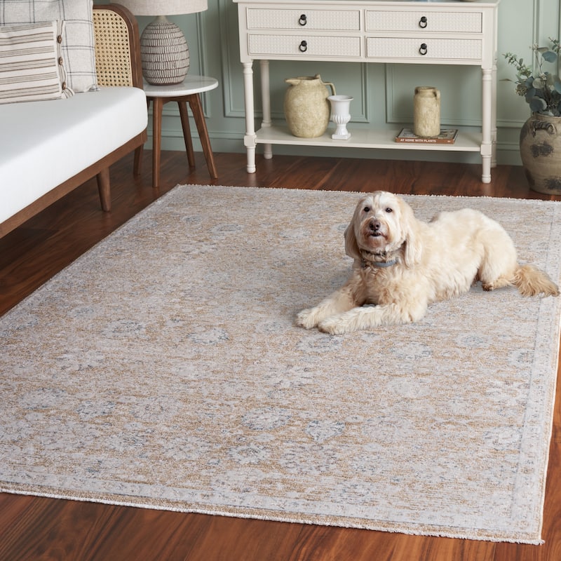 SAFAVIEH Romance Einike Vintage Distressed Rug