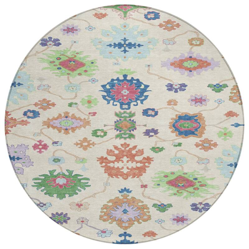 Machine Washable Indoor/ Outdoor Traditonal Delhi Chantille Rug