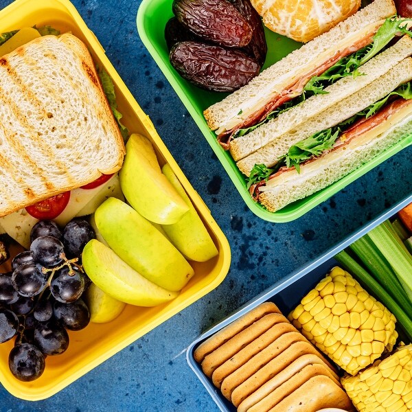 Waterproof Lunch Bag Lunch Box with Adjustable Handle for Picnic Multicolor Bed Bath Beyond 38395043