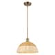 Option Brushed Brass
