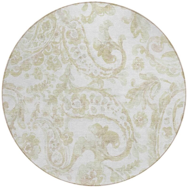 HomeRoots Paisley Transitional Rectangle Outdoor Rug