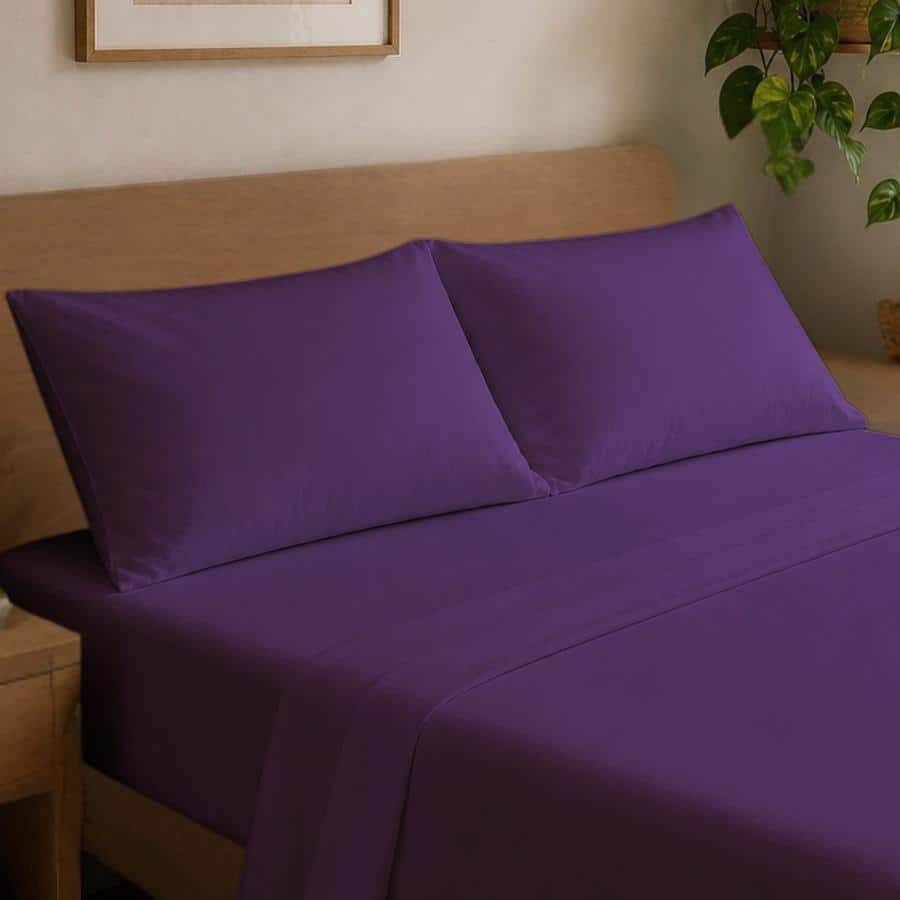 Option Eggplant