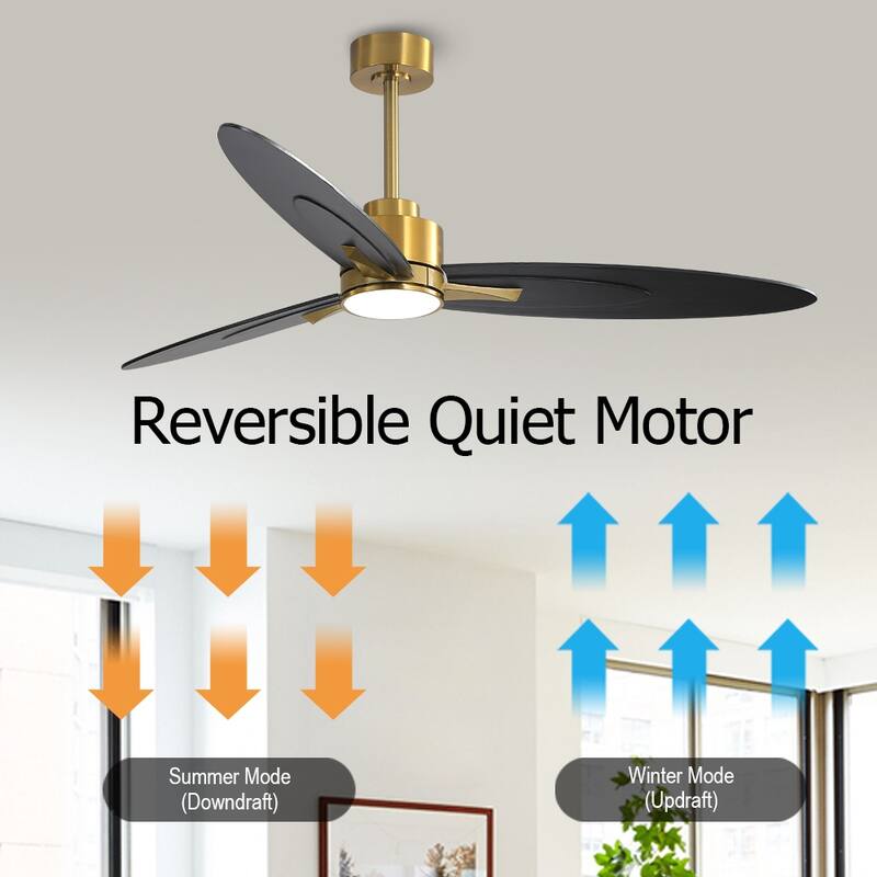 WINGBO 60-in 3-Blades Indoor Ceiling Fan with LED Light & Remote