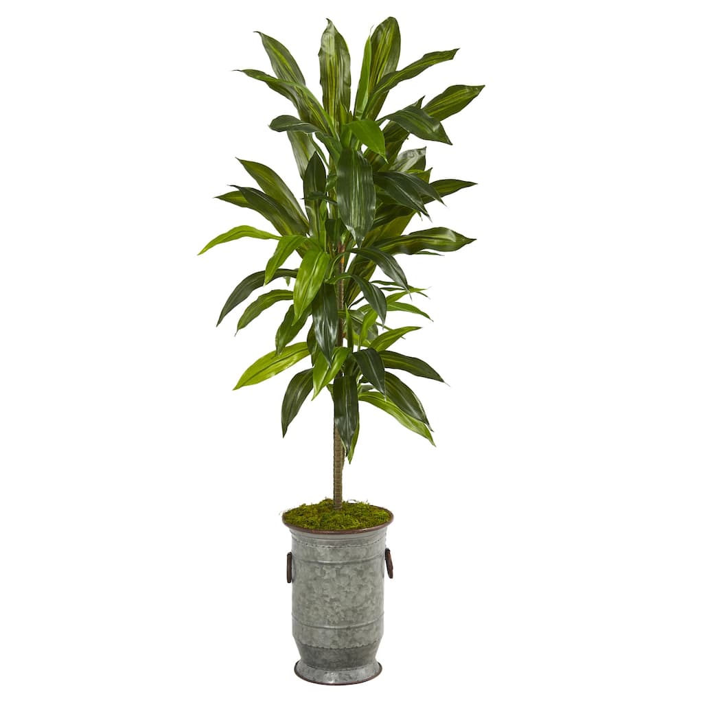 Artificial Plant with Planter - 21 Inch Real Touch Holly Bush Indoor Decor - Green - 48