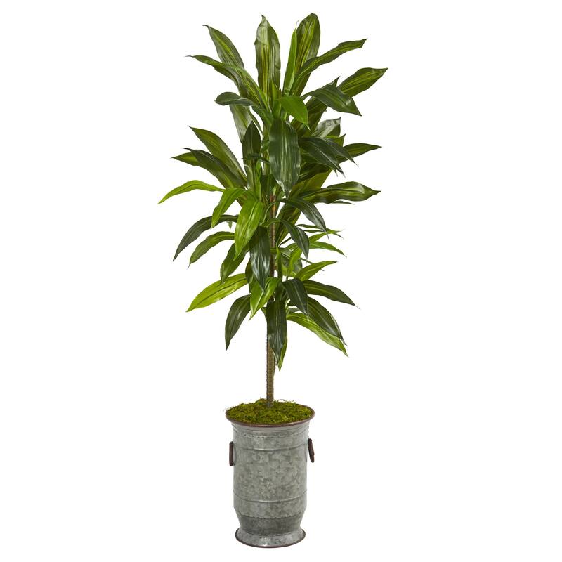 Artificial Plant with Planter - 21 Inch Real Touch Holly Bush Indoor Decor - Green - 48