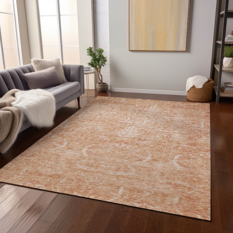 Machine Washable Indoor/ Outdoor Boho Traditional Chantille Rug