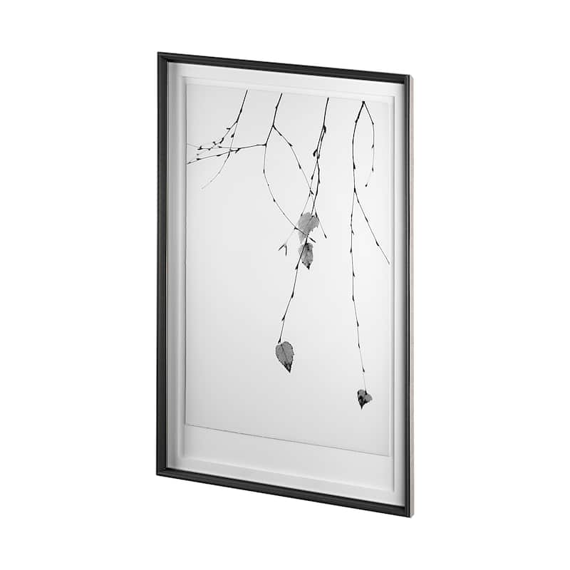 Solo Framed Art Print