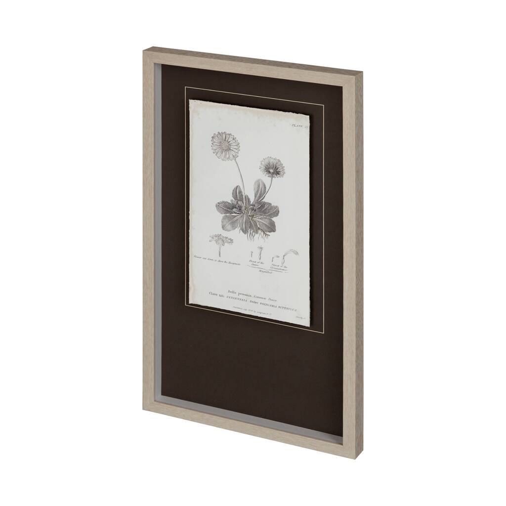 Conversations on Botany IX Framed Art Print