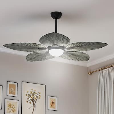 Moasis 52" Tropical Ceiling Fans Collection with Remote