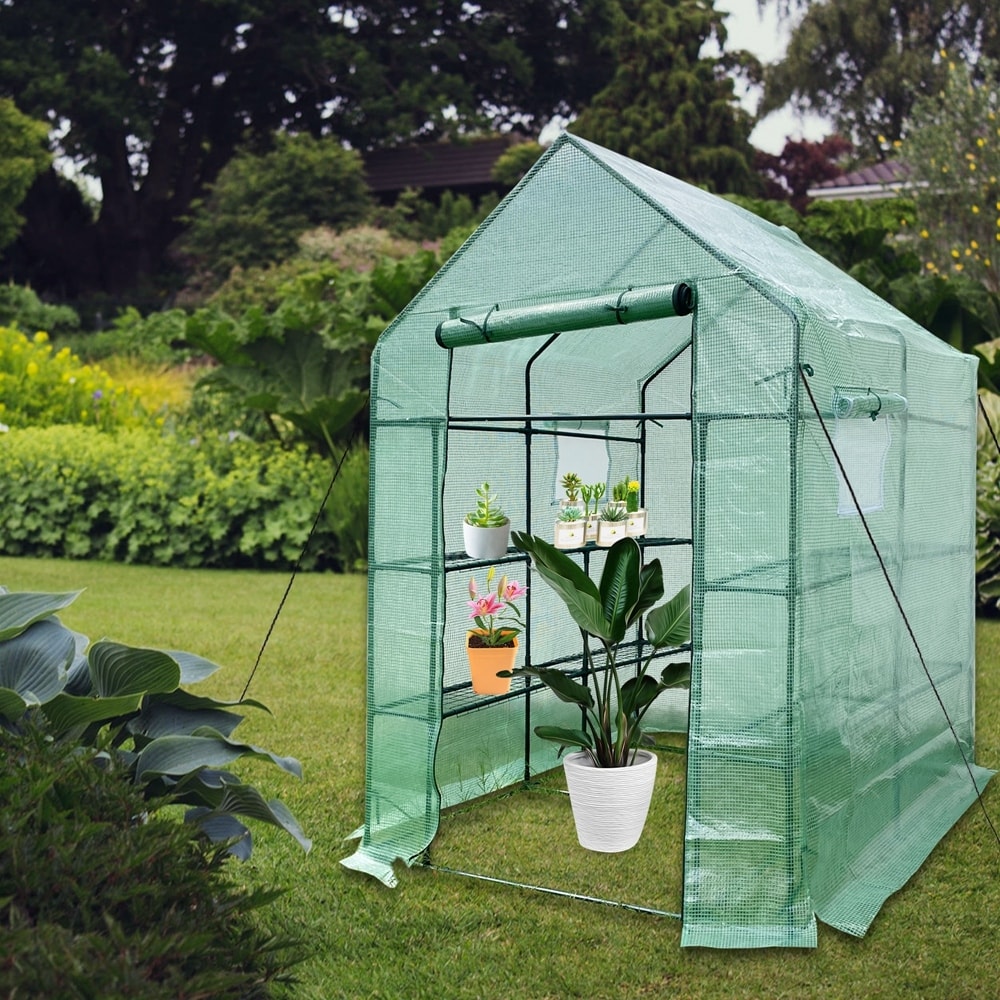 Mini-Walk-in-Greenhouse-Indoor
