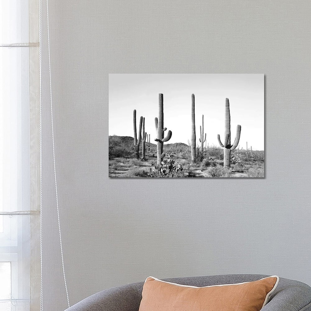 iCanvas "Gray Cactus Land" by Sisi & Seb Canvas Print