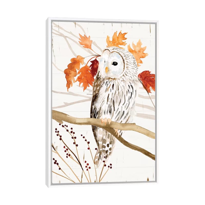 iCanvas "Harvest Owl II" by Victoria Borges Framed Canvas Print - White - 48x32