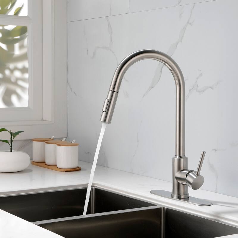 2-Function 1-Handle Pulldown Kitchen Faucet