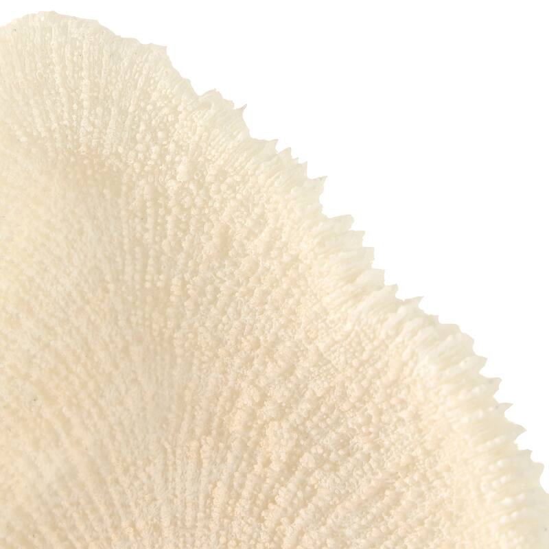 Cream Polystone Abstract Textured Coral Decorative Sculpture with Gray Stand and Acrylic Base