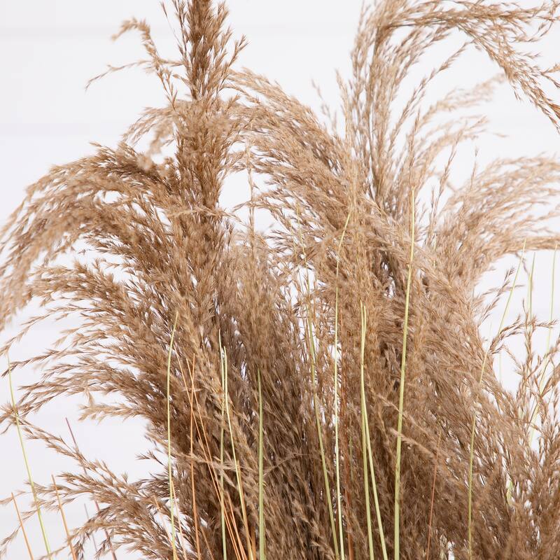 Dried Pampas Grass Artificial Plant with Planter - 4'