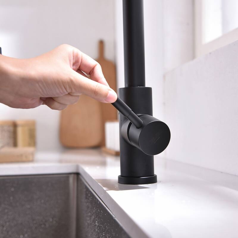 Touchless Single Hole Pull Down Kitchen Faucet with MotionSense Wave