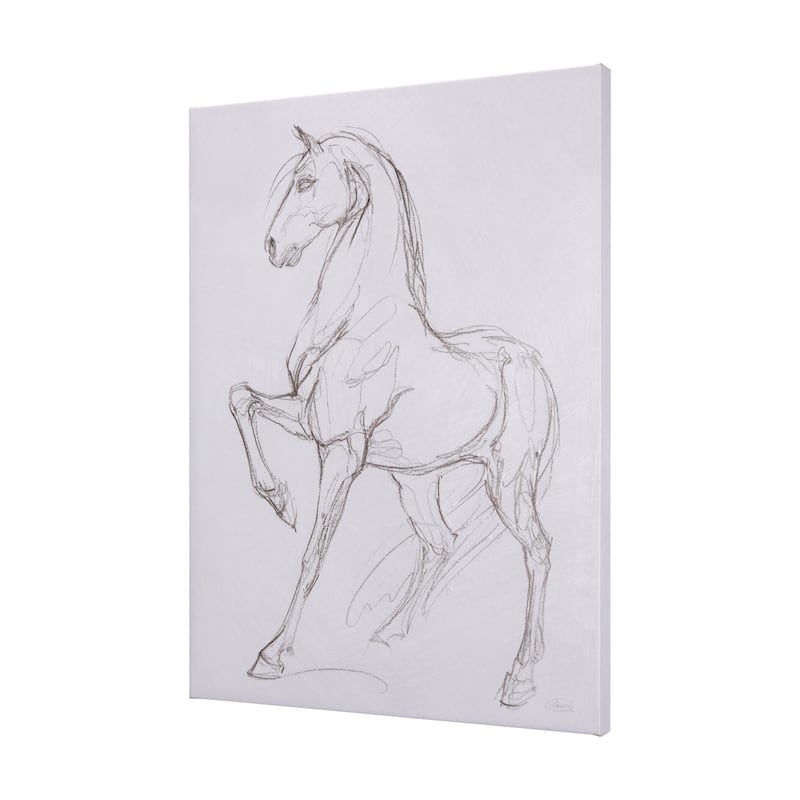 Horse II (42 x 56 ) Canvas Art Print