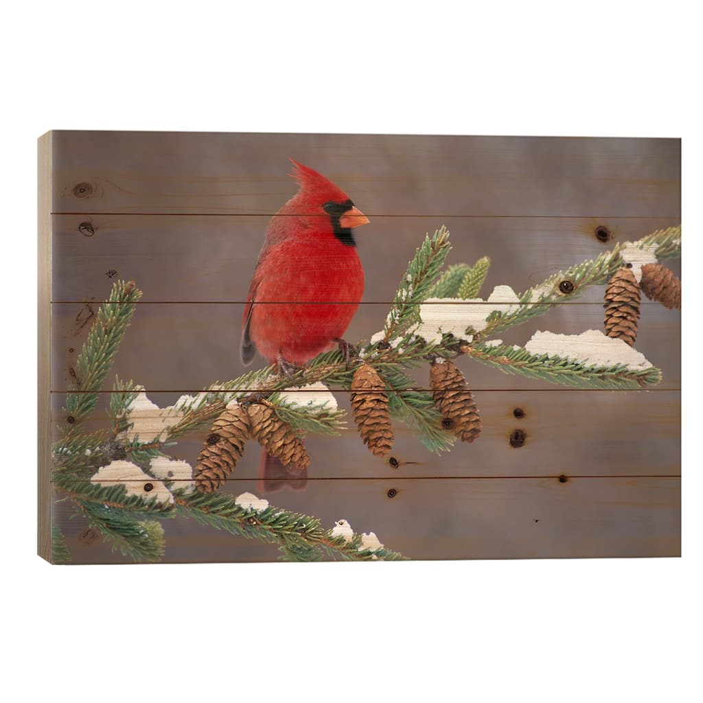 Northern Cardinal Male, South Lyon, Michigan Print On Wood by Steve Gettle - Multi-Color