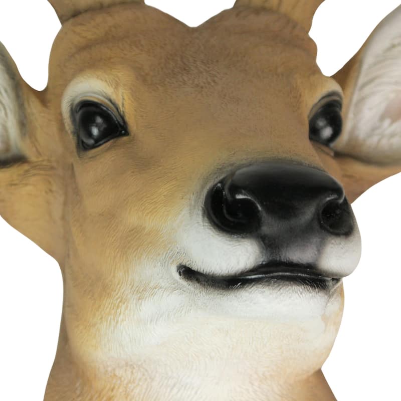 12 Point Buck Deer Head Bust Wall Hanging Trophy Mount 23.5 Inches