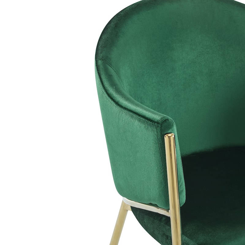 Upholstered Arm Chair Dining Chairs (Set of 2)
