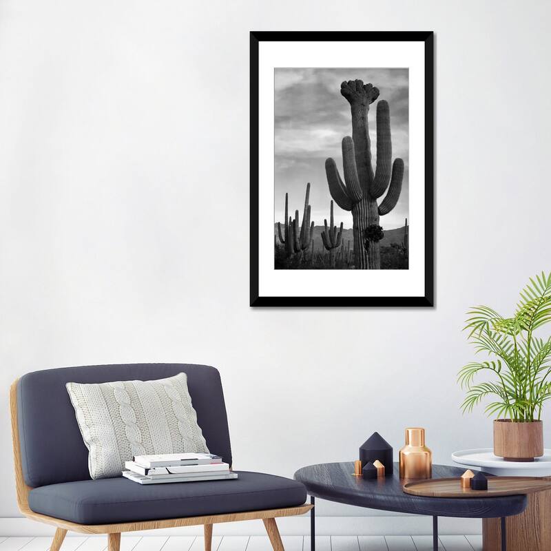 iCanvas "Saguaros, Saguaro National Monument" by Ansel Adams