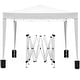 preview thumbnail 13 of 22, 10 x10 Folding Canopy with 4 Sidewalls Outdoor Event Shelter Gazebo Portable Tents for Parties, Canopy Weight Bag Carry Bag