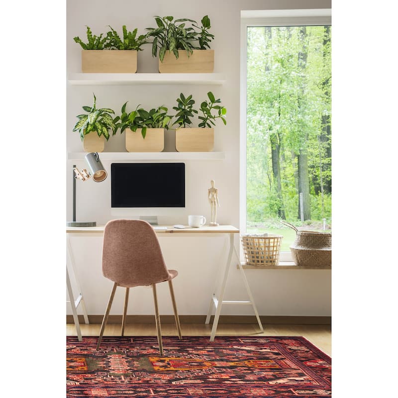 ECARPETGALLERY Hand-knotted Anadol Black, Red Wool Rug - 4'4 x 6'9