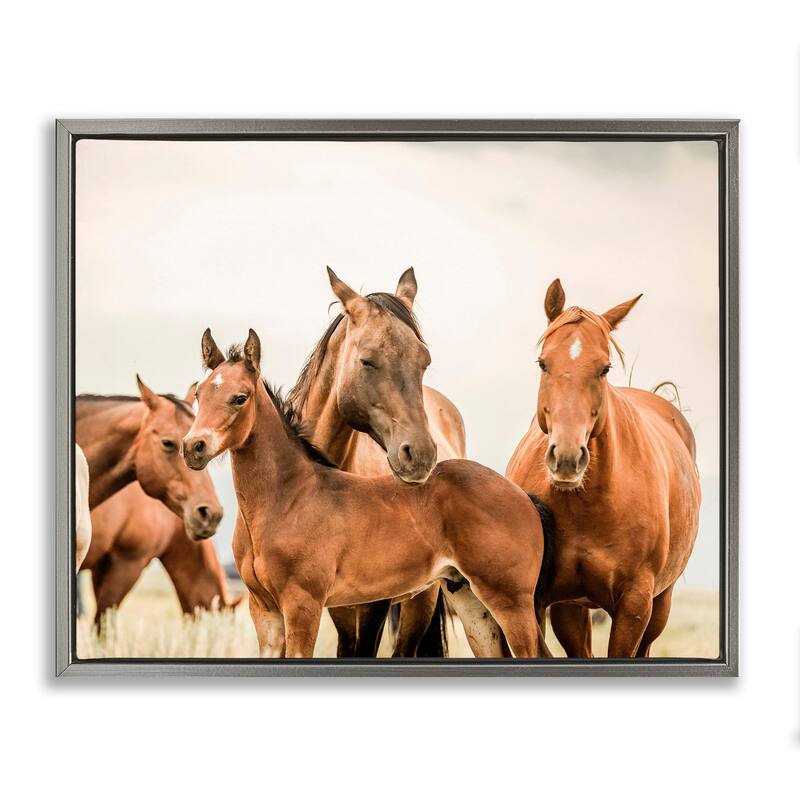 Stupell Horse & Foals Photography Framed Floater Canvas Wall Art Design by Krista Broadway