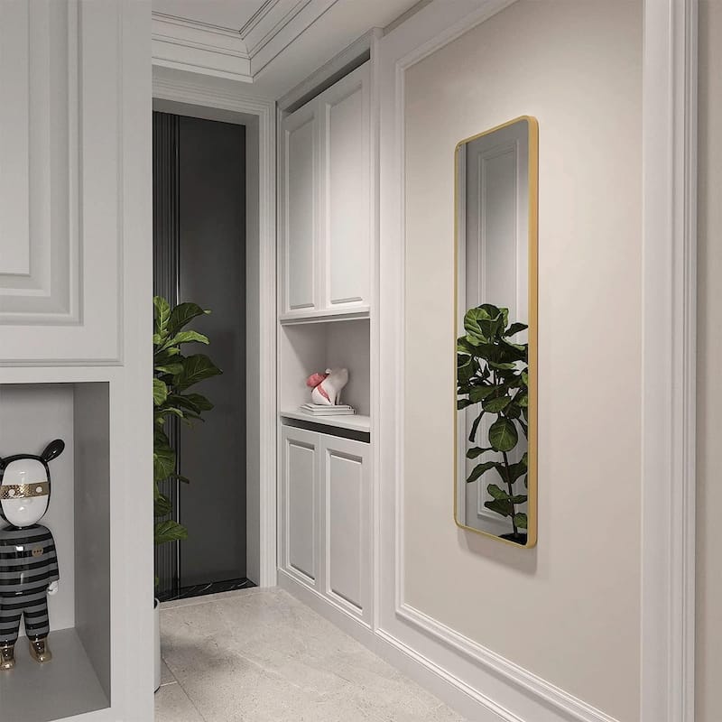 47 x 14 inch Door Mirror