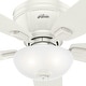 preview thumbnail 21 of 30, Hunter 52" Kenbridge Low Profile Ceiling Fan with LED Light Kit and Pull Chain