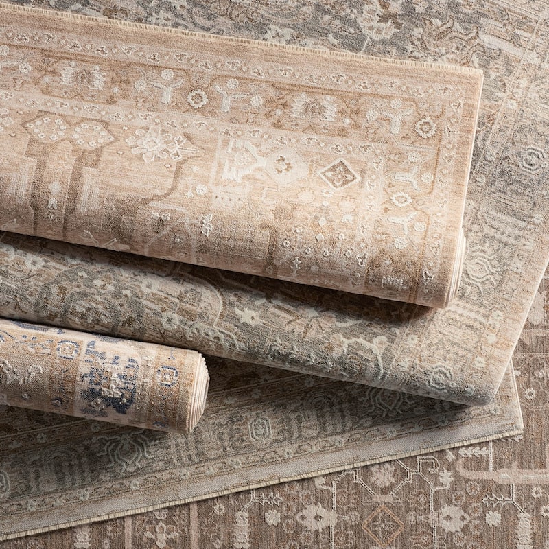 Olexa Medallion Beige/Gray Rug