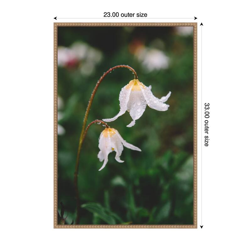 Kate and Laurel Sylvie Delicate White Floral Petals Framed Canvas by Patricia Hasz of Patricia Rae Photography