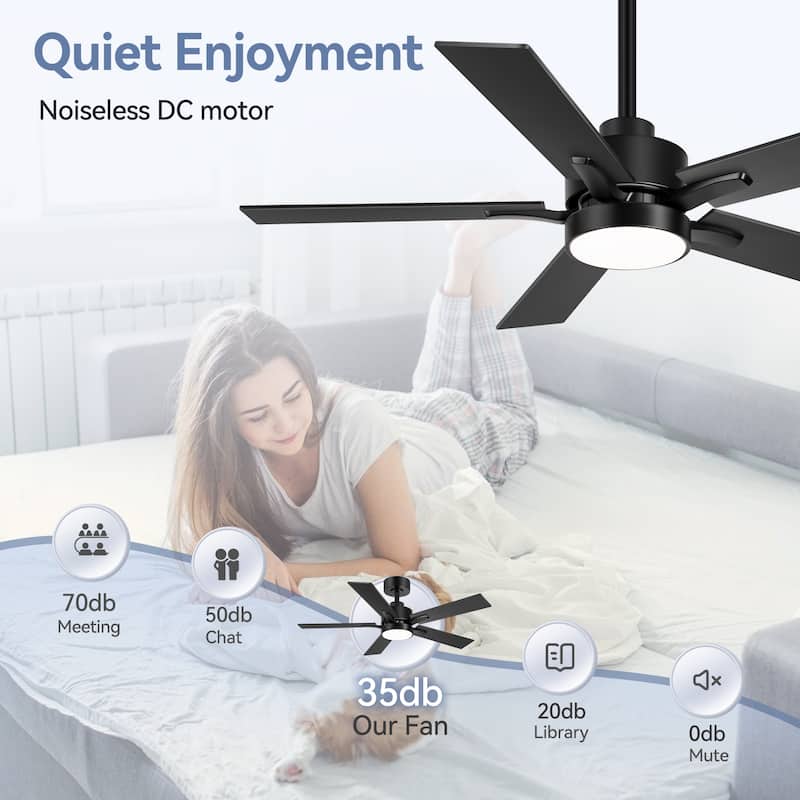 Breezary 52/42-IN LED Ceiling Fan with Light Kit and Remote-5 Blade