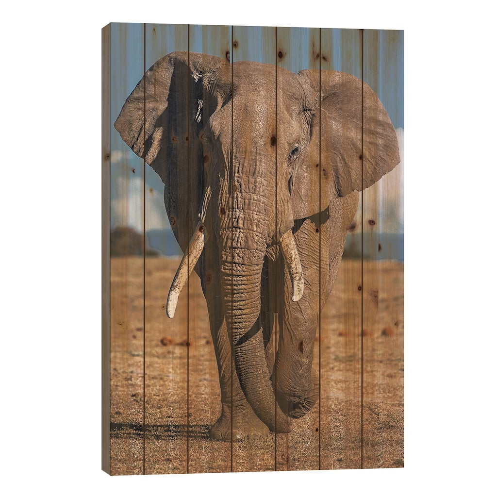 Elephant Print On Wood by Nikita Abakumov - Multi-Color