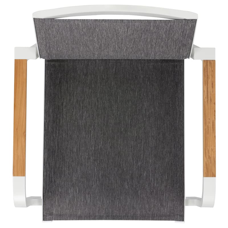 SAFAVIEH Outdoor Living Dexter Armchair with Teak (Set of 2)