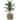 Wooden Stump Tree Branch with Bark Succulent Planter Pot Flower Shelf
