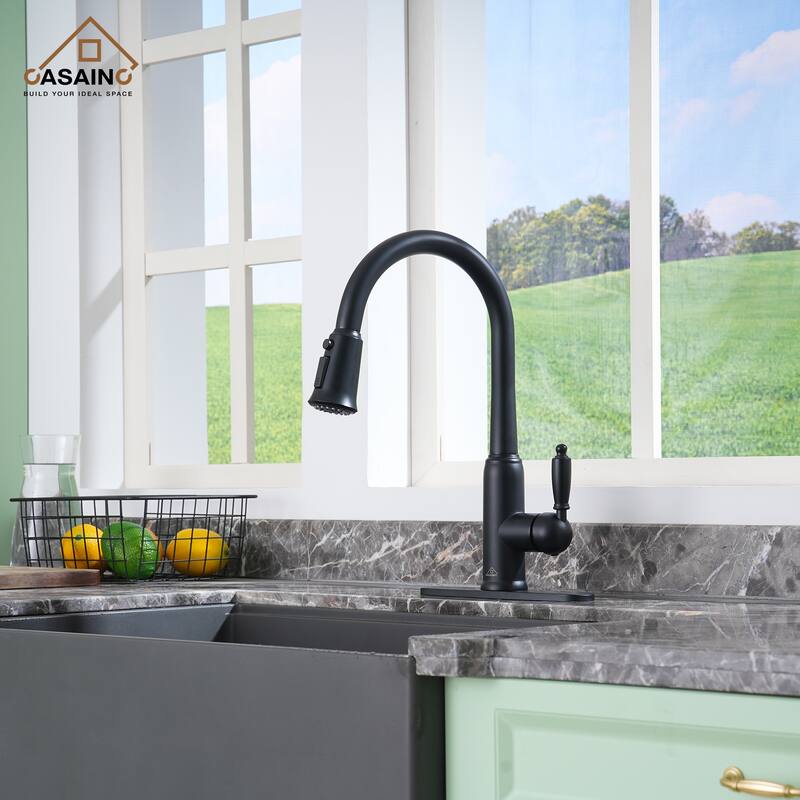Single Handle Pull-Down Sprayer Kitchen Faucet