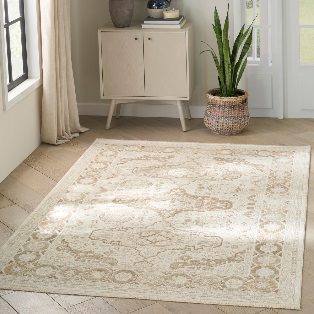 Nourison Pardis Indoor only Cream / Ivory Persian Area Rug