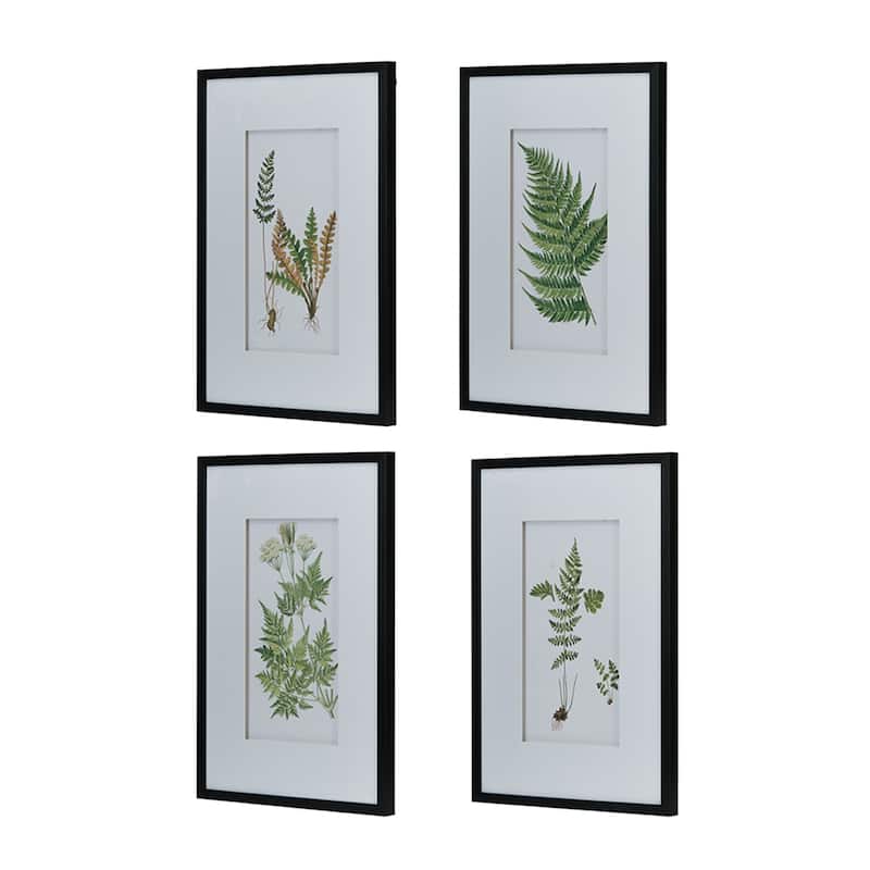 Set of 4 Botanical Black And White Fern Wall Art