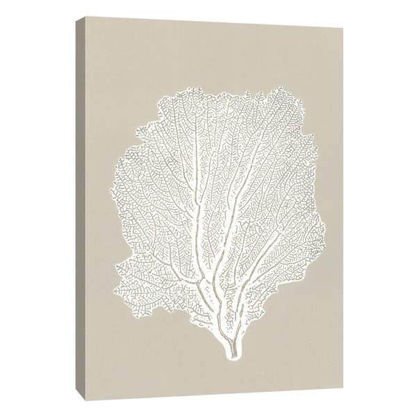 PTM Images 9-105220 PTM Canvas Collection 10" x 8" - "Sea Fan 5" Giclee Botanical Art Print on Canvas