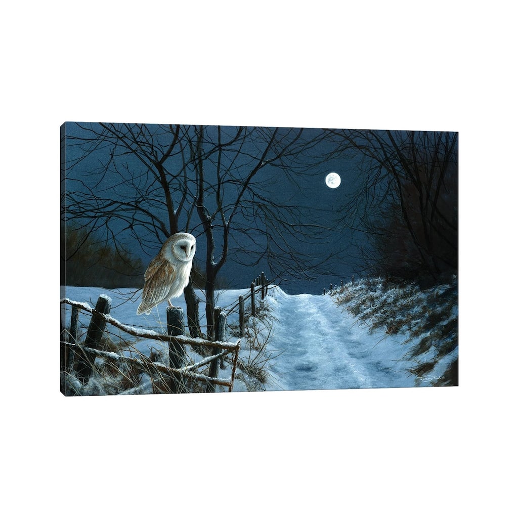 iCanvas "Hunter's Moon - Barn Owl" by Jeremy Paul Canvas Print