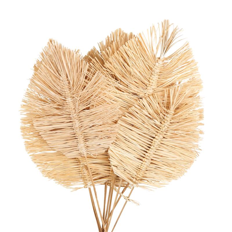 Dried Plant Tall Spear Home Decor Natural Foliage with Sharp Stems - Brown or Light Brown - Roche River Decor