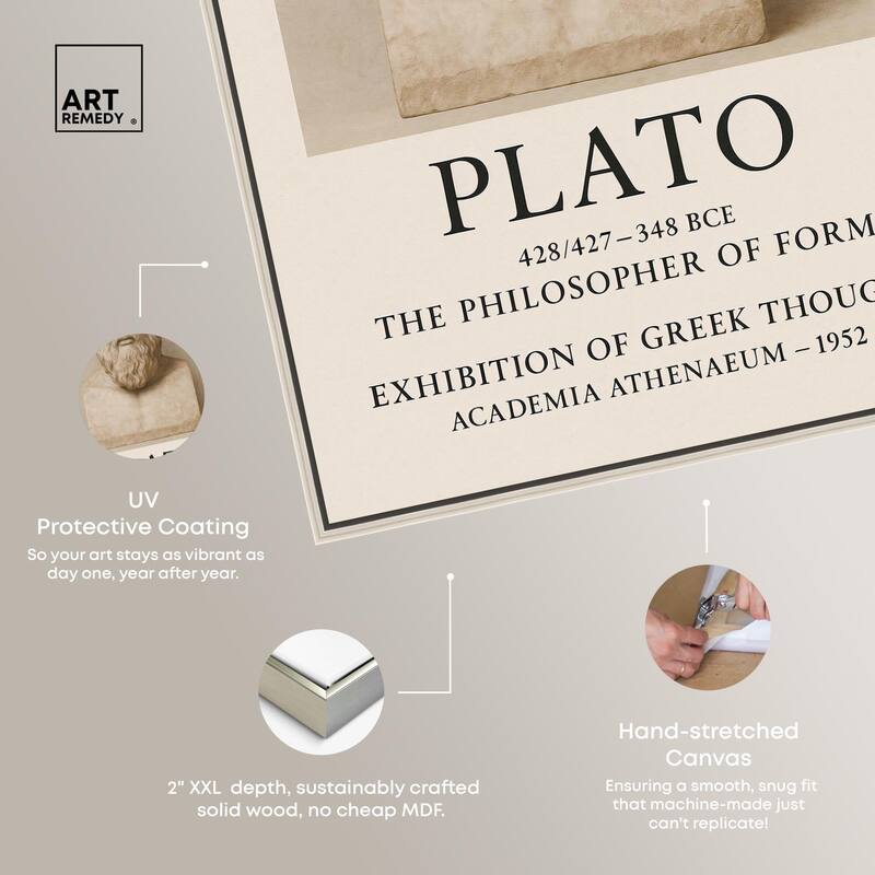 Philosopher of Forms Canvas by Art Remedy